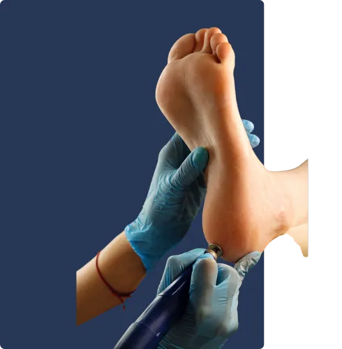 Image 3 Alt